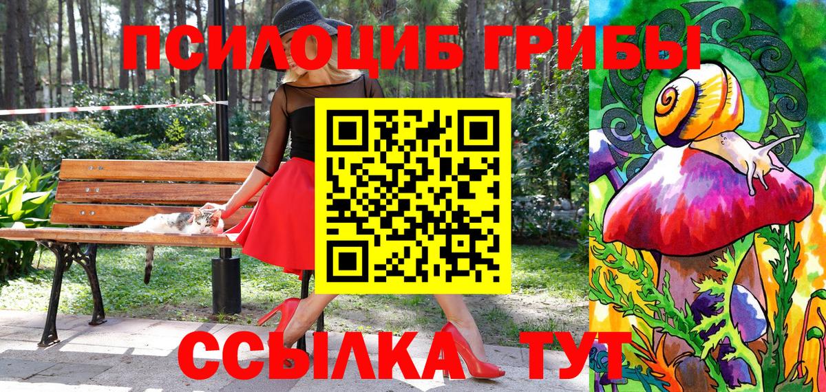 Галлюциногенные грибы мицелий  Галлюциногенные грибы Magic Shrooms  Междуреченск  Вход с VPN 